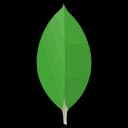 MongoDB